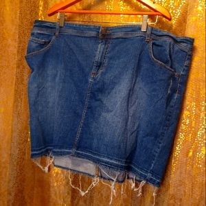 Women's size 24. Distressed denim skirt. PureEnergy brand. Excellent condition.